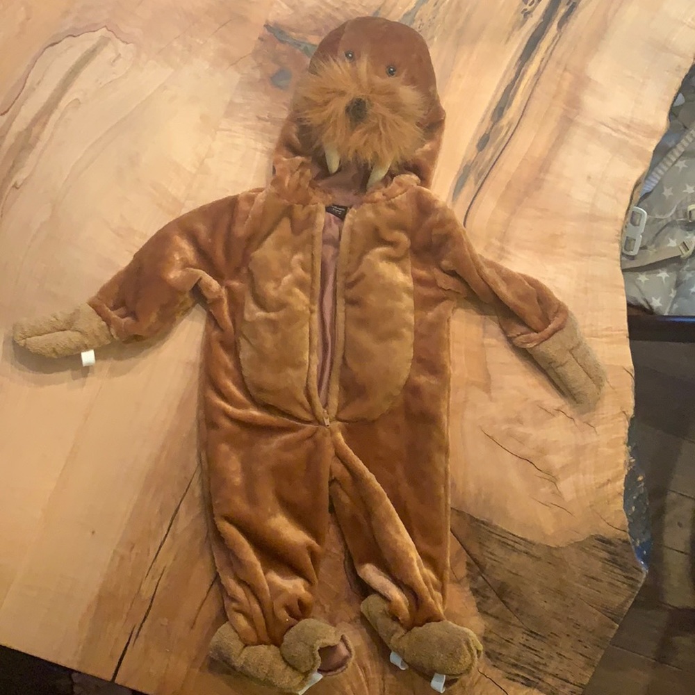 Walrus costume size 12 month